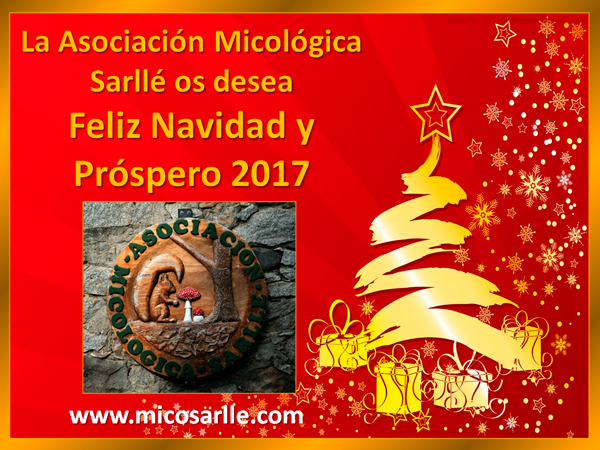Feliz Navidad 2016 #MicoSarlle